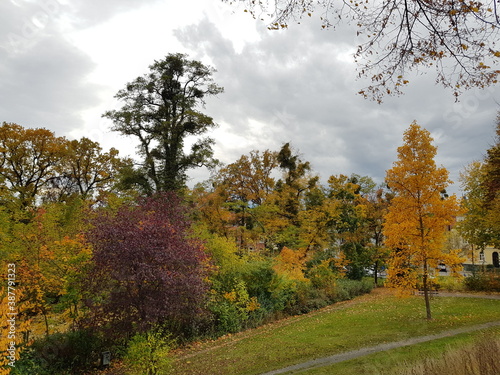 autumn in the park,herbst, landschaft, baum, road, wald, fall, natur, baum, himmel, jahreszeit, blatt, park, gelb, blatt, green, laub, blau, holz, gras, orange, feld, holz, farbe, rot, bunt