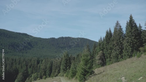 Wallpaper Mural 4K shot of aerial drone which flying in Carpathian mountains at sunny summer weather, Ukraine Torontodigital.ca