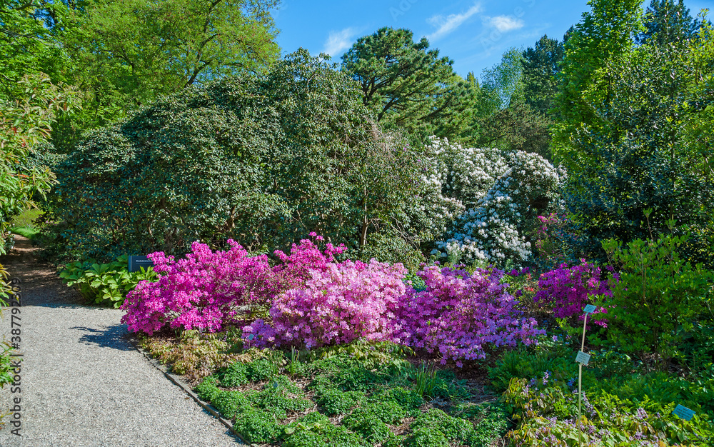 Fototapeta premium Berggarten Hannover
