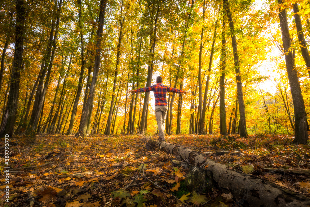 A man keeps balance while walkin on a tree trunk during autumn season A man keeps balance while walkin on a tree trunk during autumn season