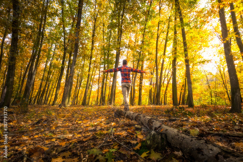 A man keeps balance while walkin on a tree trunk during autumn season