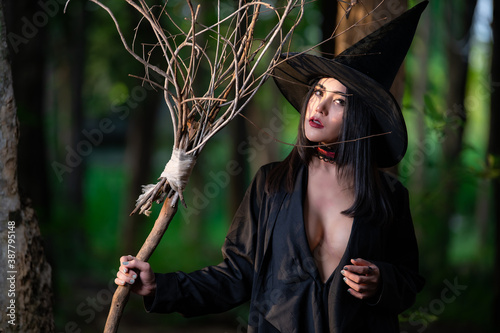 Slika na platnu Portrait of beautiful asian sexy woman wear black witch costume with broom,Hallo