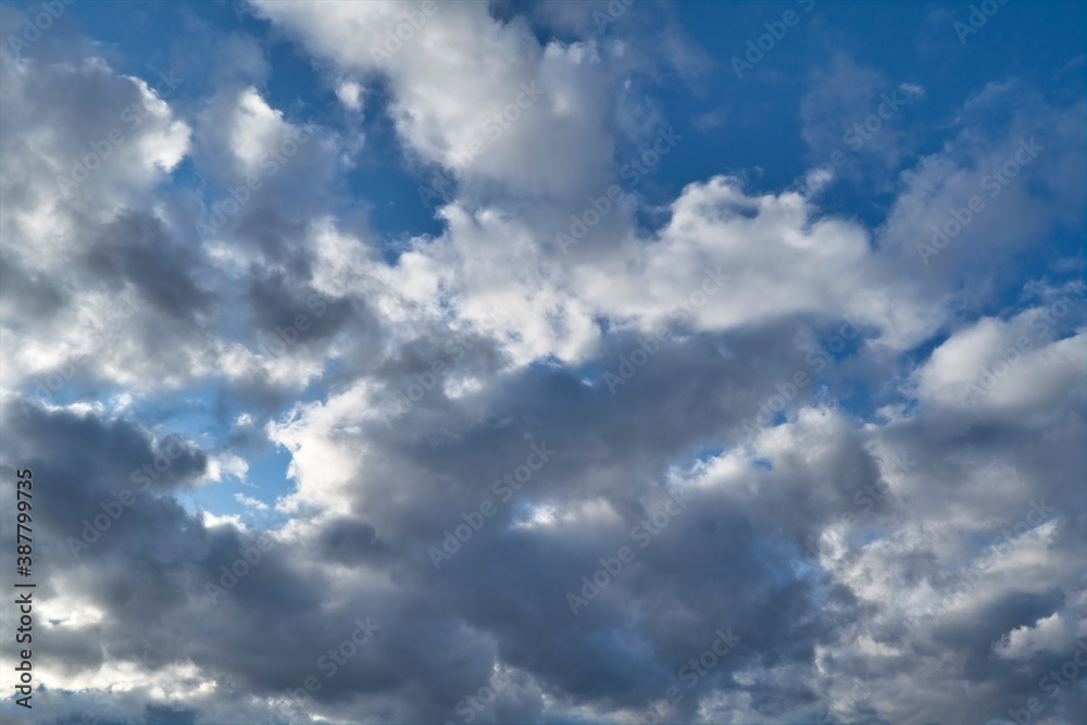 Evening blue sky with cumulus clouds. Cumulus clouds in the blue sky. Beautiful clouds in the blue sky background.