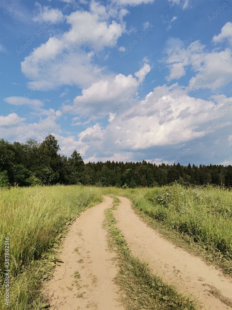 road in the field