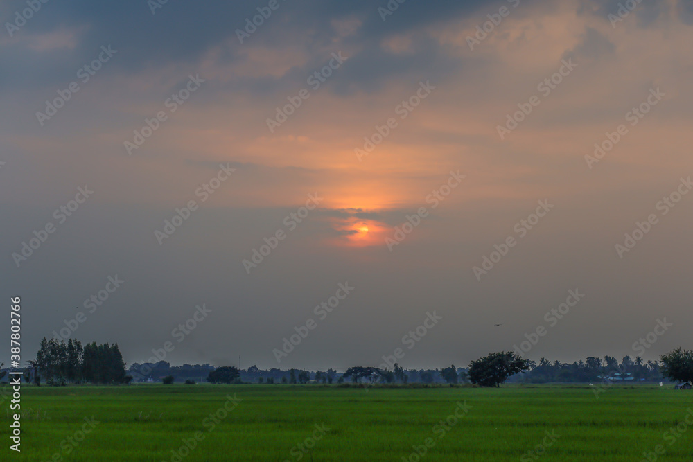 Light sunset on green rice field in national park at thailand