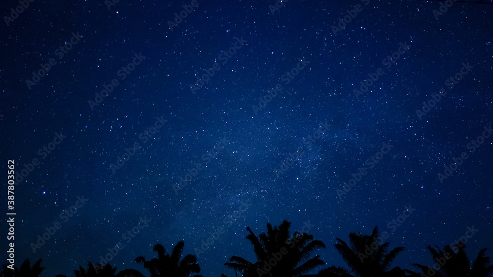 Fototapeta premium Starry sky at night, twinkle constellations in the sky and trees view