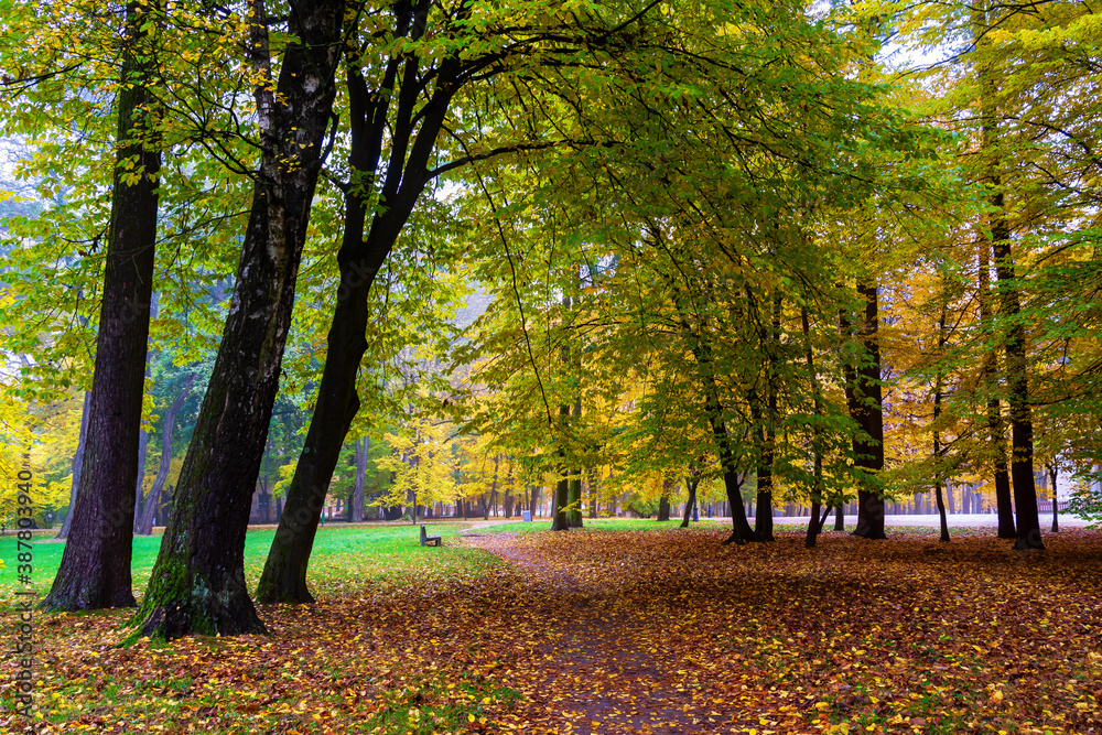 Park Konstytucji 3 Maja w Białymstoku, Jesień w parku Zwierzynieckim, Białystok, Podlasie Park Konstytucji 3 Maja w Białymstoku, Jesień w parku Zwierzynieckim, Białystok, Podlasie
