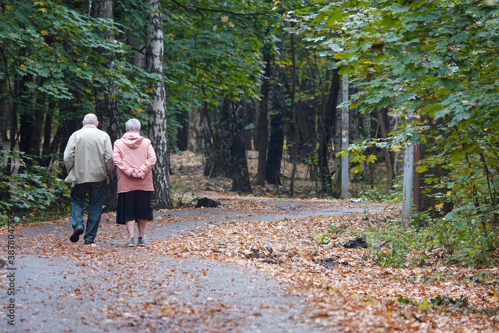 Fototapeta premium An elderly couple is walking in the autumn park. View from the back.