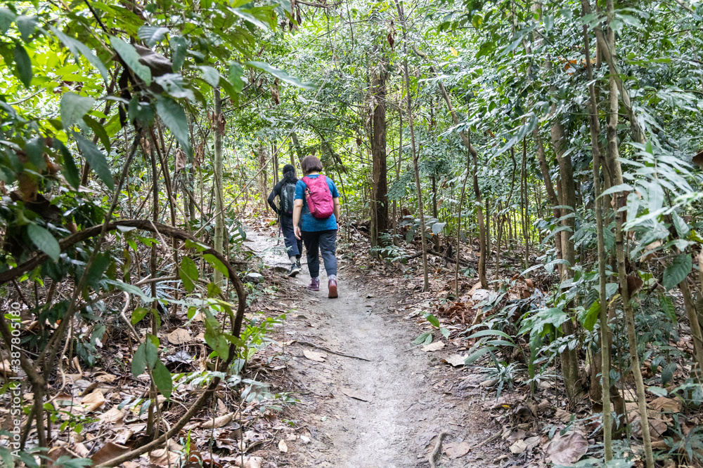 Asian female hiking in tropical rainforest in the morning