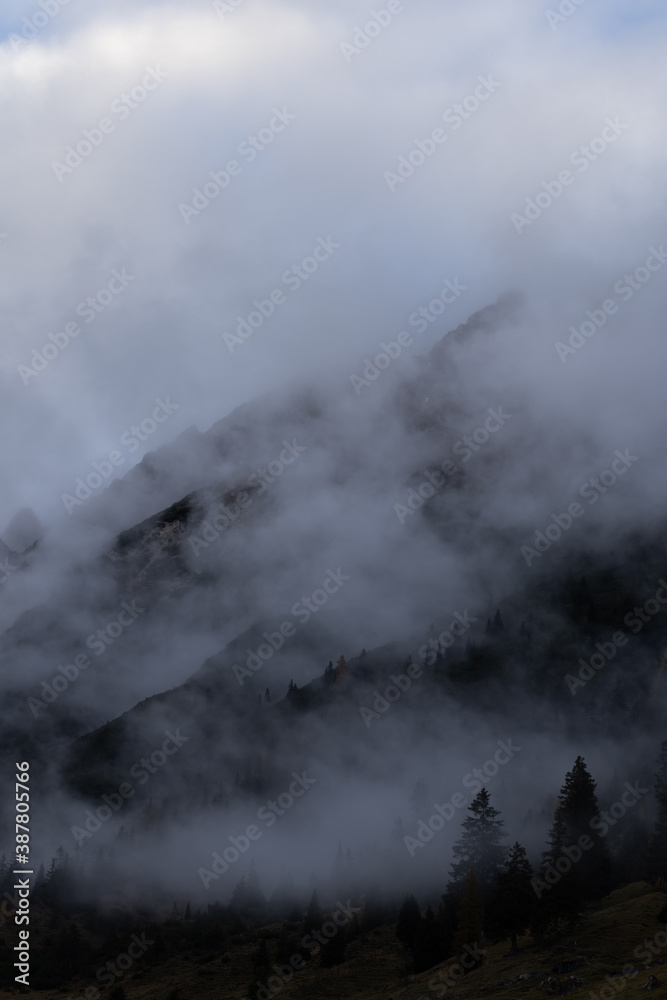 Nebliger Herbst, Dichter Nebel im Wald, Herbstwetter in den Alpen