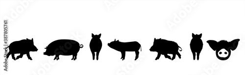 Vector silhouette of collection of wild boars and pigs on white background. Symbol of forest and farm animals.