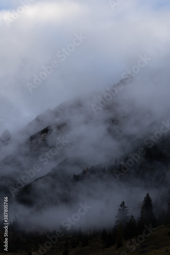 Nebliger Herbst, Dichter Nebel im Wald, Herbstwetter in den Alpen