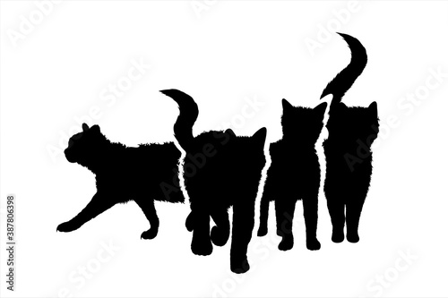 Vector silhouette of collection of cats on white background. Symbol of home animal and pet.