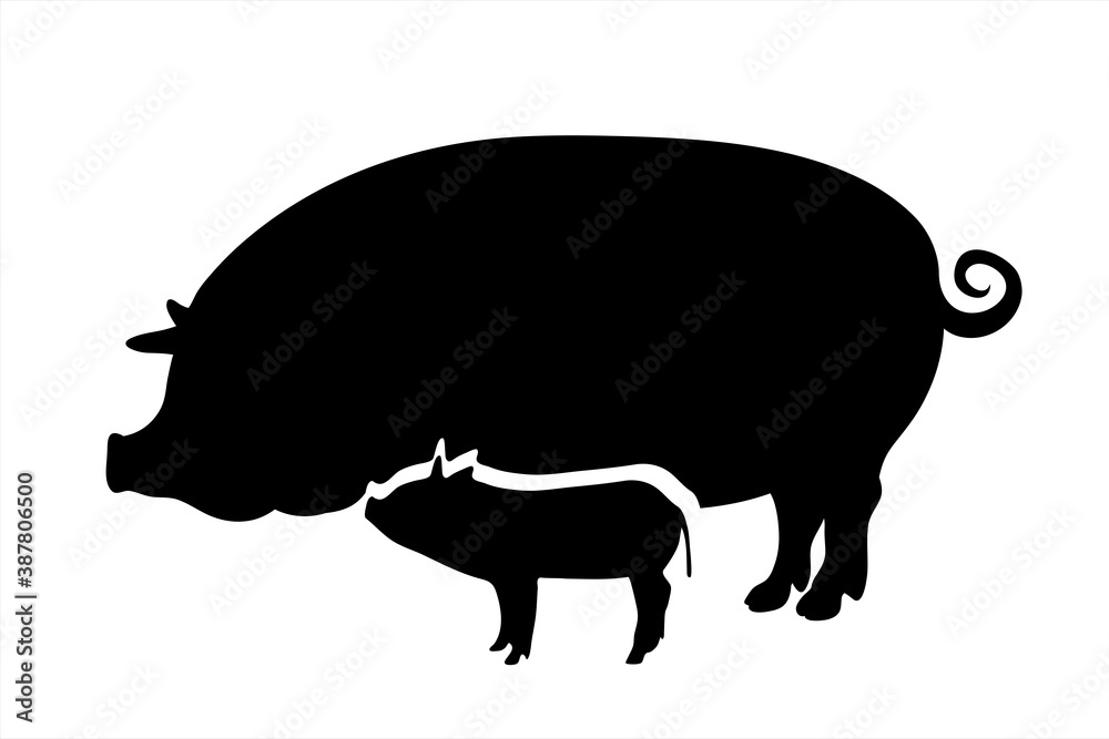 Vector silhouette of pig with baby on white background. Symbol of farm animals. Vector silhouette of pig with baby on white background. Symbol of farm animals.