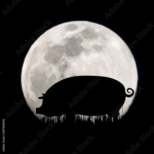 Vector silhouette of pig on moon background. Symbol of night and farm animals.