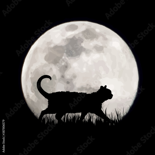 Vector silhouette of cat on moon background. Symbol of night and home animals.