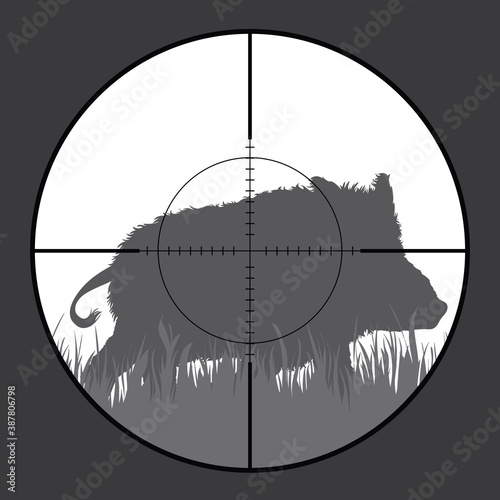 Vector silhouette of wild boar in rifle sight while hunting. The hunter watches his victim.
