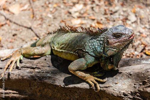 The overwhelming beauty of the flora and fauna of Costa Rica. Photos taken during a tour through this beautiful country  