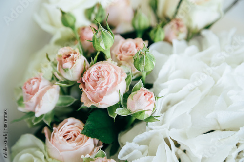 A beautiful soft background of small pink roses and white hortensia, close up view