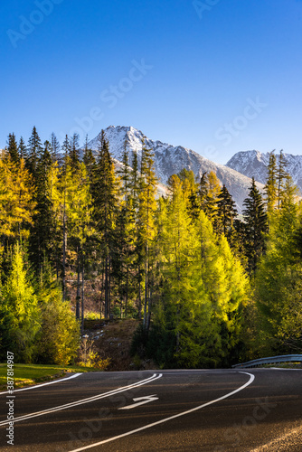 Curvy Road Trough Pine Forest at Autumn in High Tatra Mountains. Road trip and Adventure Concept.