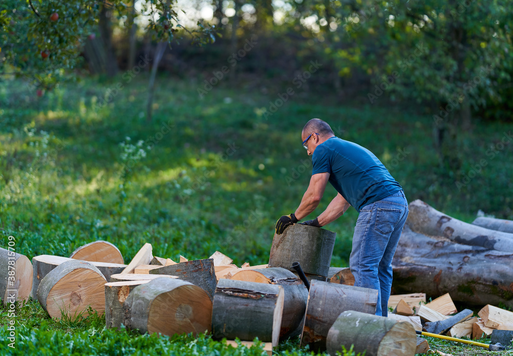 Farmer splitting logs
