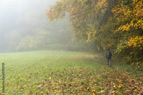 Herbst im Nebel photo