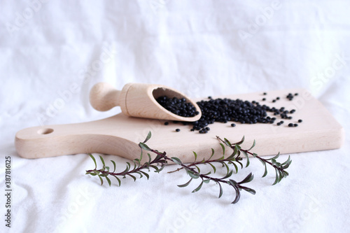 Satureja montana winter savoury or mountain savoury, is a herb. It has dark green leaves and flowers ranging from pale lavender, or pink to white. Beluga lens in the background.