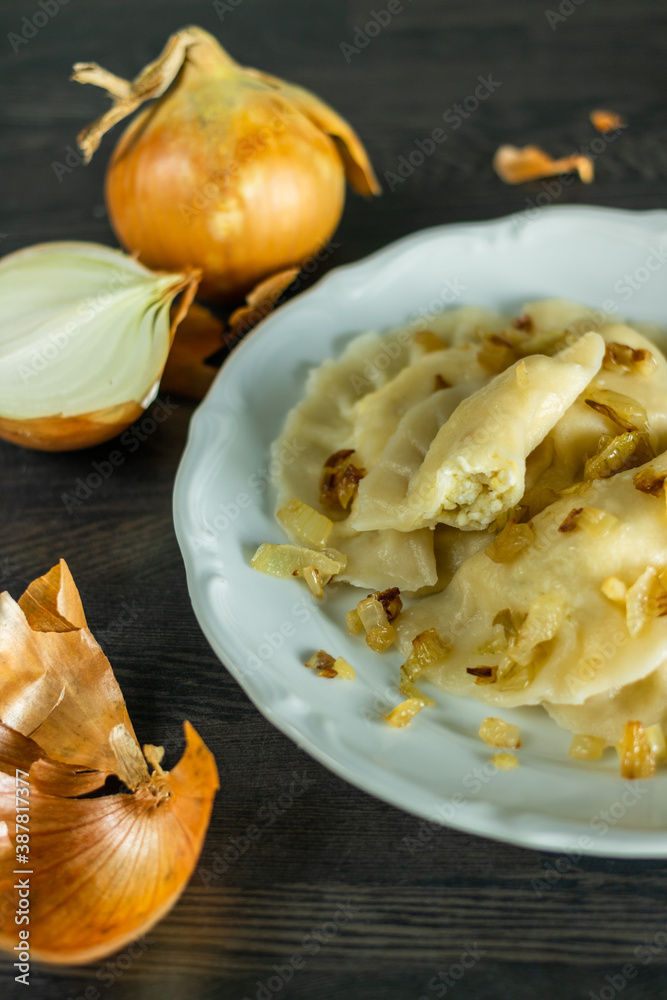 Plate with Russian dumplings, onion around the plate. Traditional russian cuisine.