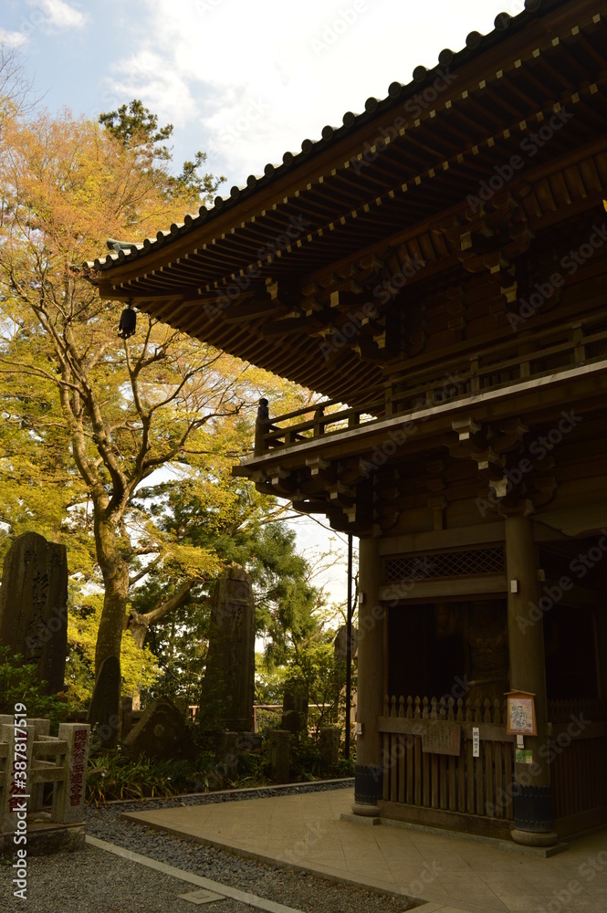 Exploring the temples and nature around Mount Fuji during Cherry Blossom on Honshu Island in Japan Exploring the temples and nature around Mount Fuji during Cherry Blossom on Honshu Island in Japan