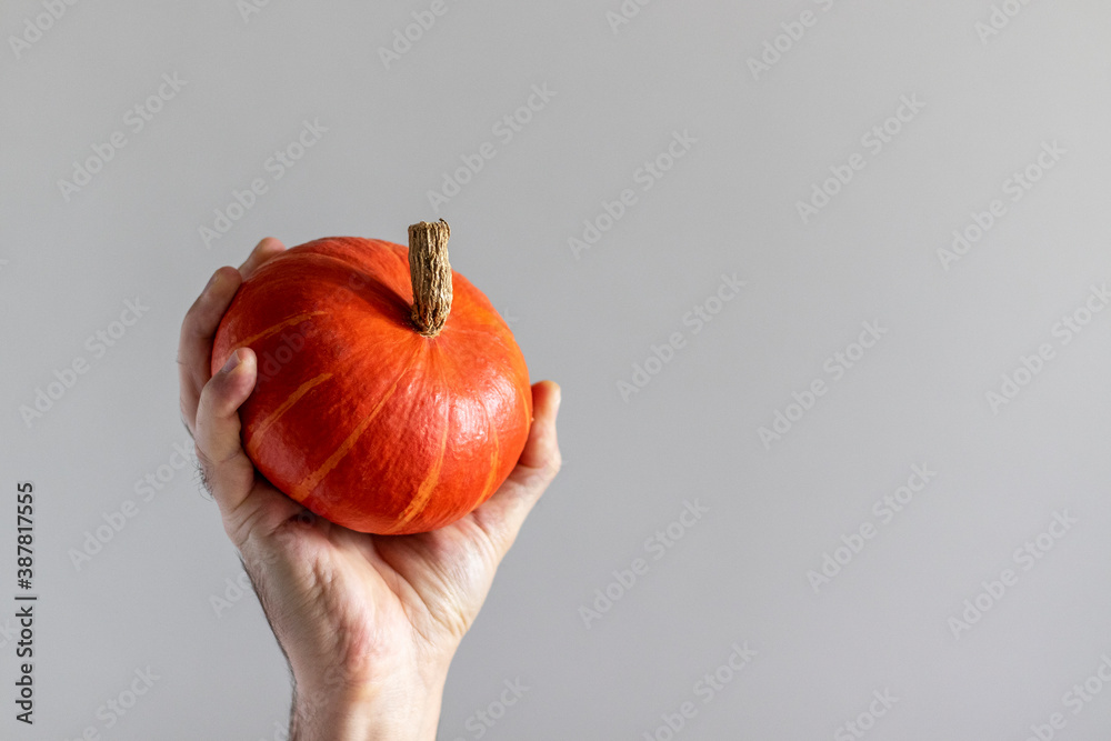 Small orange pumpkin in male hand on gray background. Small orange pumpkin in male hand on gray background.