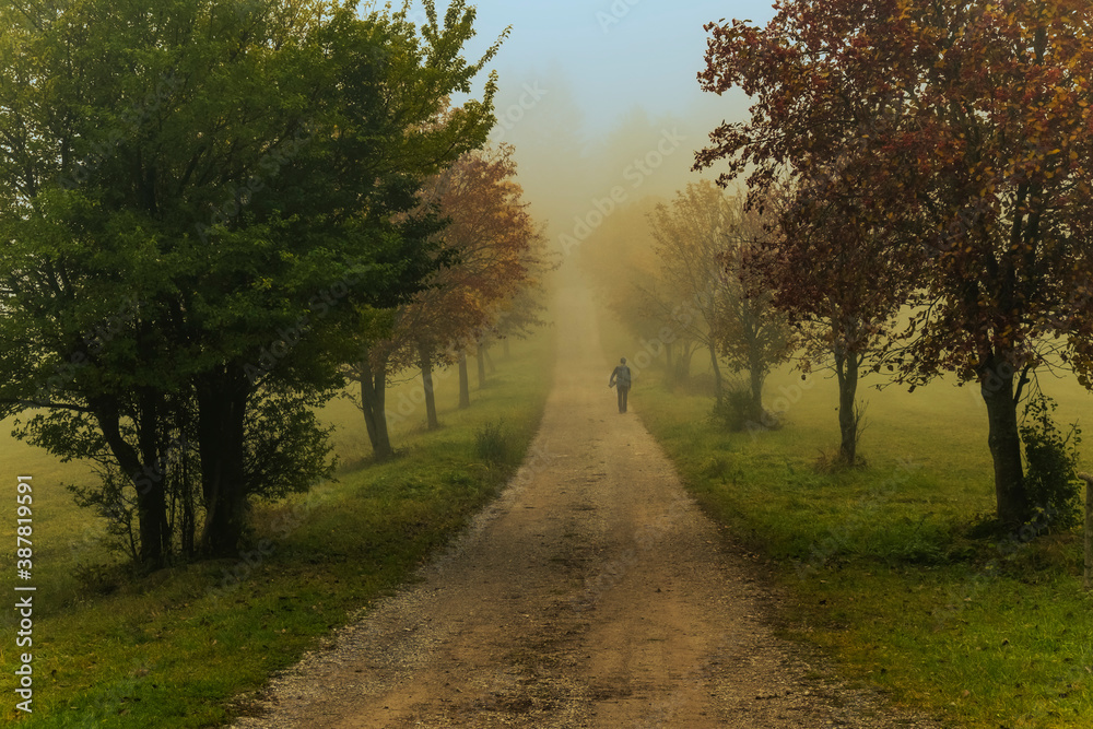 man walking on misty autumn alley 
