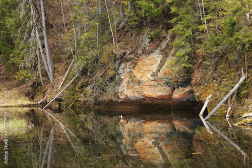 Wallpaper Mural Wild nature of Latvia. Torontodigital.ca
