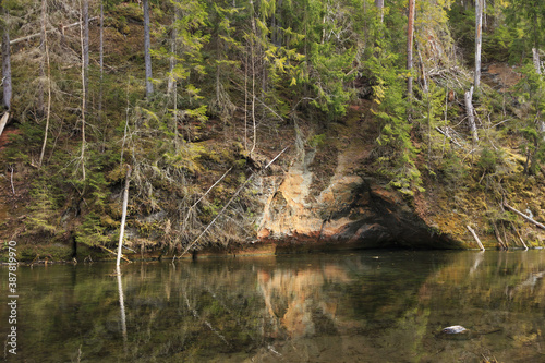 Wallpaper Mural Wild nature of Latvia. Torontodigital.ca