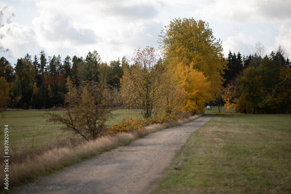 Wald im Herbst; Dorf