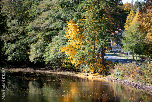 Fototapeta Naklejka Na Ścianę i Meble -  Wald im Herbst; Dorf