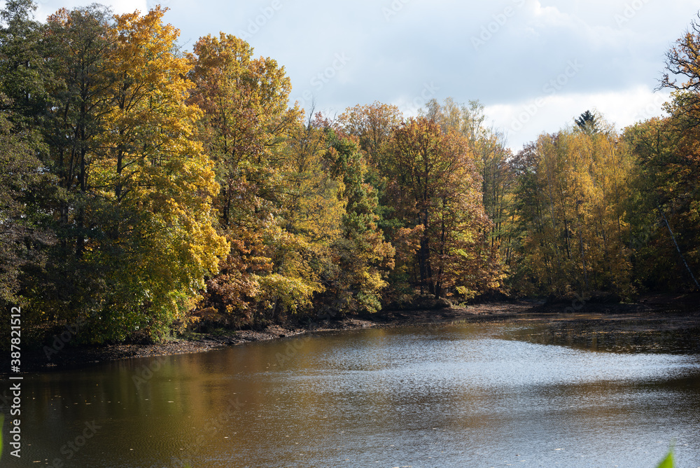 Wald im Herbst; Dorf