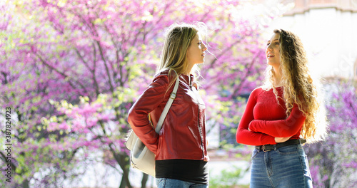 Two female schoolmates talking in a college courtyard