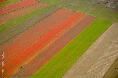 View of the of fields of red poppies and colorful lentil plants around the town of Castelluccio di Norcia, Umbria