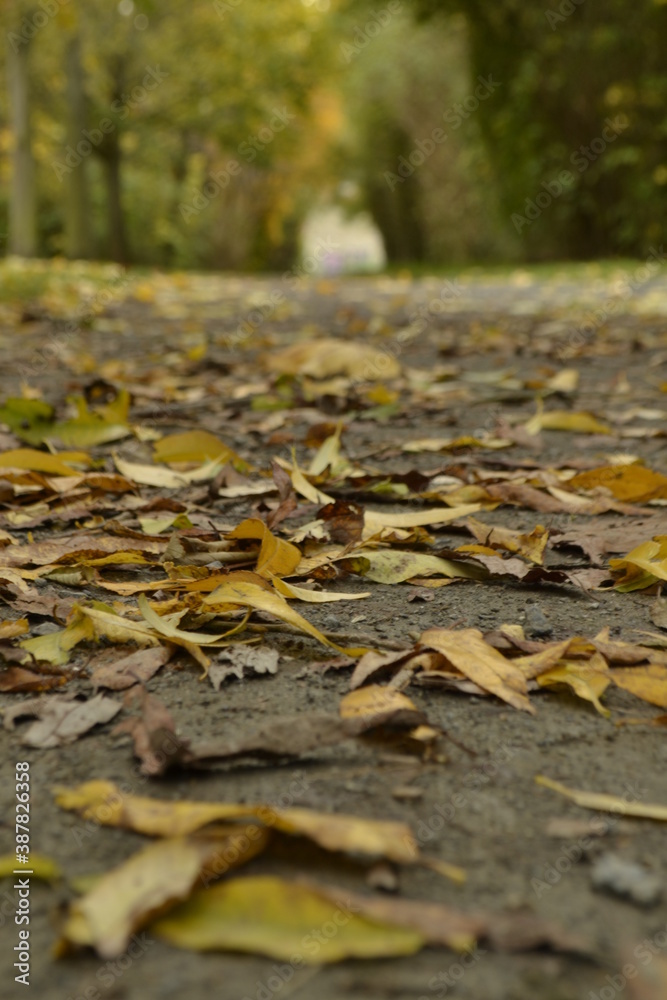Herbstlandschaft Herbstlandschaft