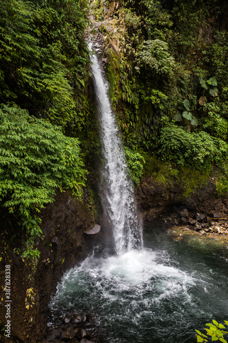 Lush tropical plants surround La Paz waterfall in Costa Rica