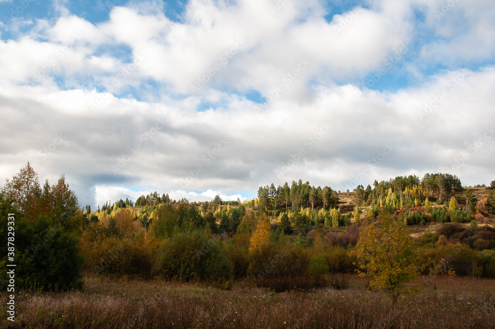 Autumn landscape. Yellow trees, blue sky with white clouds. Autumn landscape. Yellow trees, blue sky with white clouds.