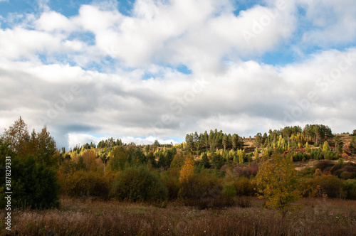 Autumn landscape. Yellow trees, blue sky with white clouds. © svetlana kuznetsova