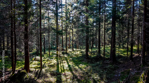 las jesieni   w Beskidzie   l  skim