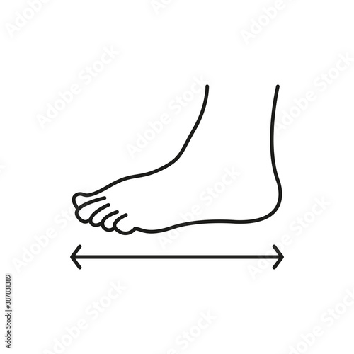 The size of the foot. The measurement of the foot. Shoe size. Simple vector illustration on a white background