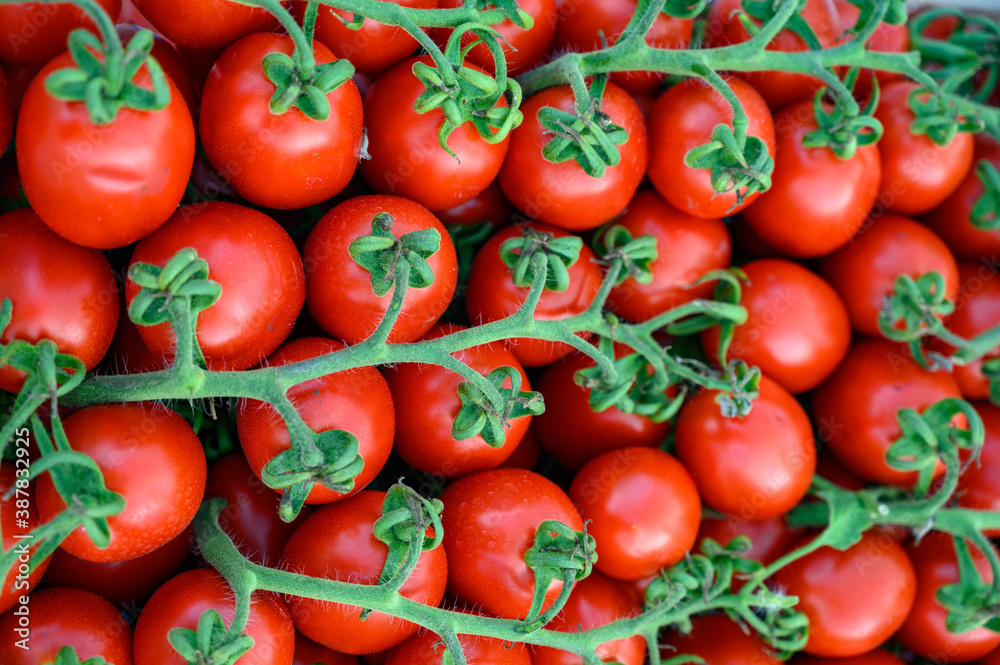 Sweet ripe red Italian cherry tomatoes in box on farmers market