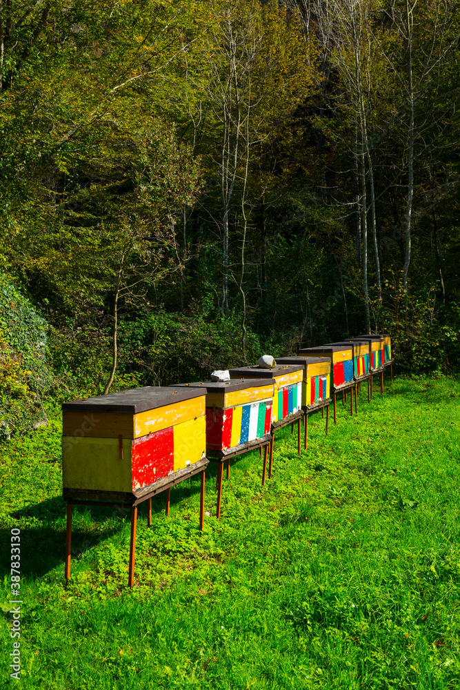 Beehive, Soca Valley, Julian Alps, Municipality of Kobarid, Slovenia, Europe Beehive, Soca Valley, Julian Alps, Municipality of Kobarid, Slovenia, Europe