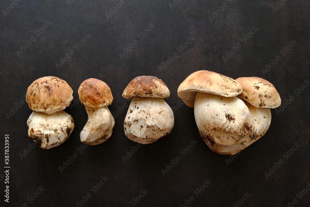 Raw Mushrooms Boletus On A Black Background Raw Mushrooms Boletus On A Black Background