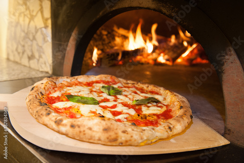Fotografiet real Neapolitan Italian pizza called margherita pizza just out of the oven