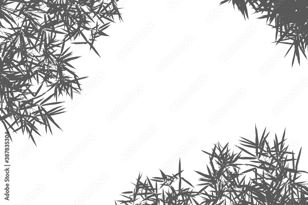 Obraz premium bamboo leaves isolated on white background