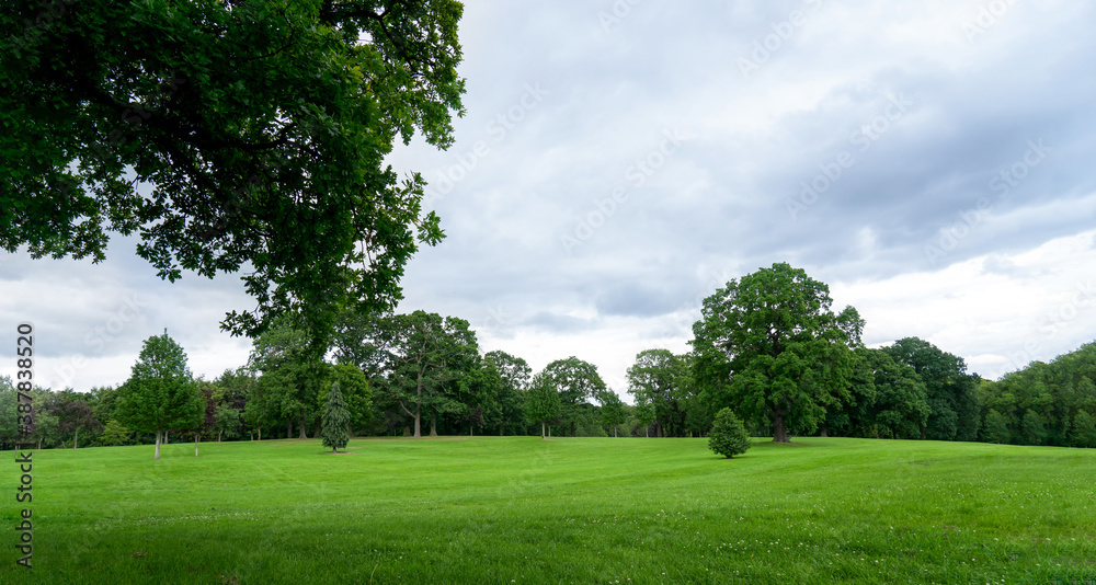 Fresh air natural landscape, meadow with green tree with blue sky for summer background, Beautiful natural spring landscape of grass field with forest trees and environment public park in the morning Fresh air natural landscape, meadow with green tree with blue sky for summer background, Beautiful natural spring landscape of grass field with forest trees and environment public park in the morning